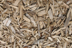 biomass boilers Dartmeet