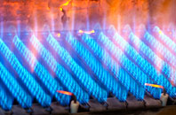 Dartmeet gas fired boilers